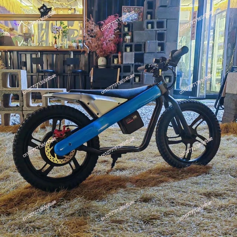 Bicicleta de equilíbrio elétri - Kids Ride On Suitcase Scooter avaliação e preço